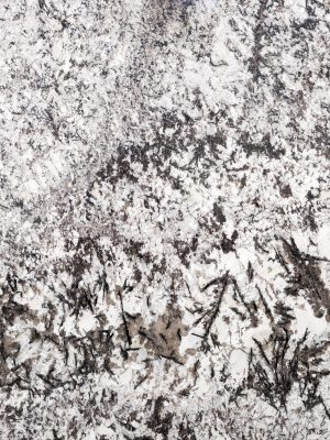 Detalle de textura del granito exótico White Orion, con fondo blanco luminoso y vetas negras orgánicas, aportando carácter y profundidad visual a cubiertas y revestimientos