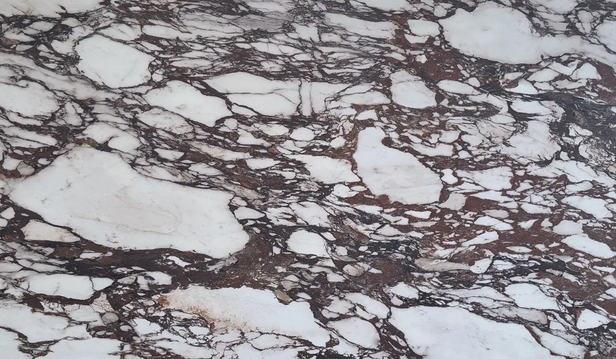 Mármol Calacatta Viola con fondo blanco y vetas color vino y burdeos, ideal para cubiertas y proyectos de alto impacto visual.